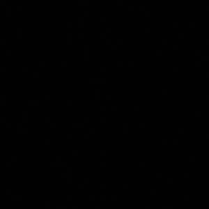 Meet your Posher, Sandy